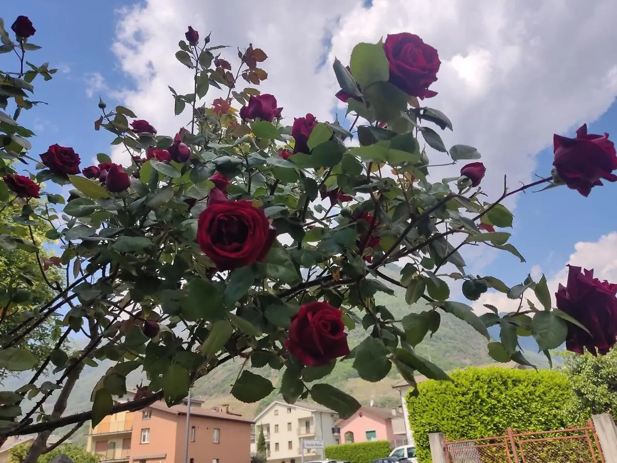 Tirano Express Luxury Apartments